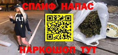 дживик Можга