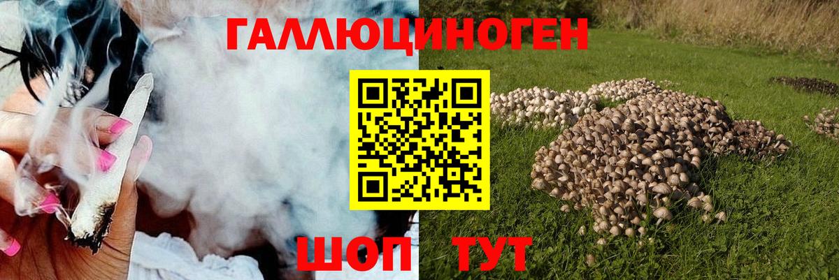 Галлюциногенные грибы ЛСД  Вход с VPN  Псилоцибиновые грибы Magic Shrooms  Туймазы 